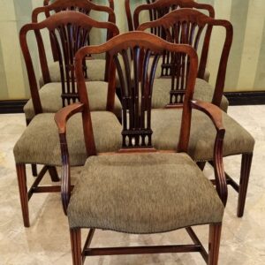 Dining Chairs