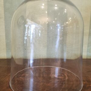 Glass Cloche