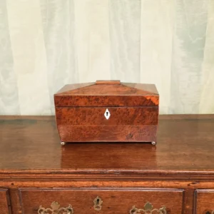 Tea Caddy